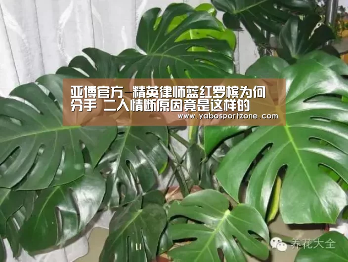 亚博赛事